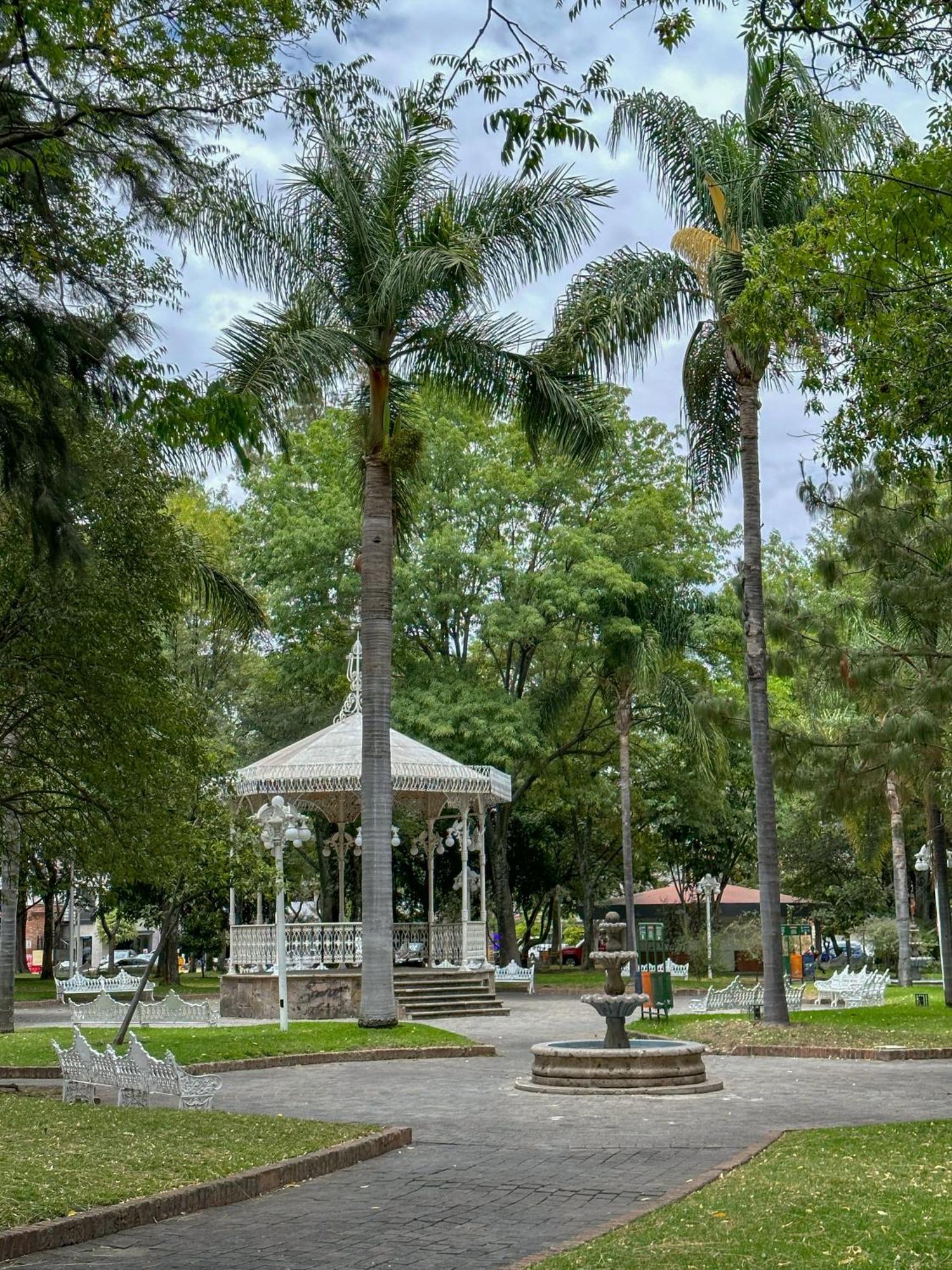 Suite Con Terraza En En El Corazon De Chapalita 11 Guadalajara Bagian luar foto